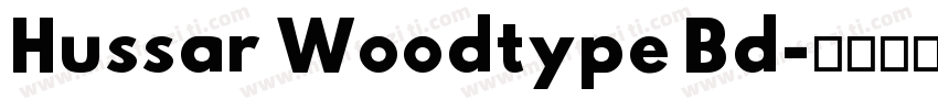 Hussar Woodtype Bd字体转换